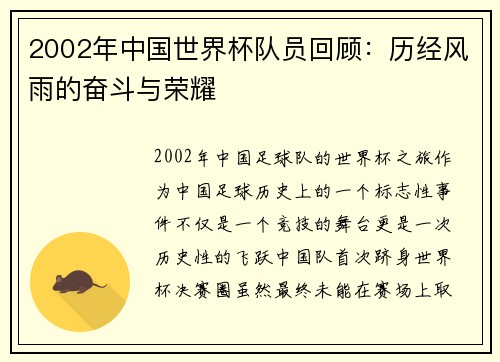 2002年中国世界杯队员回顾:历经风雨的奋斗与荣耀